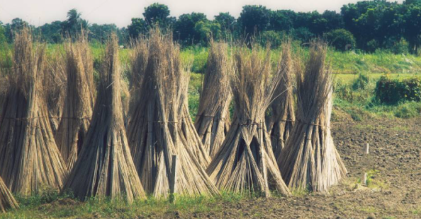 バングラデシュ